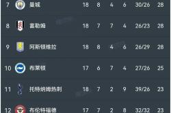 出色的助攻和进攻战术，助队跻身积分榜前列的简单介绍